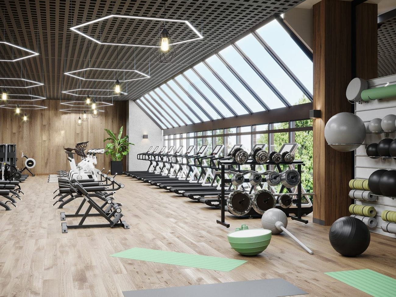 Gymnasium