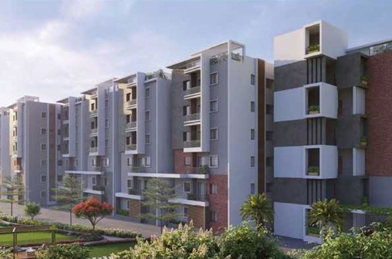 Infocity Green Woods